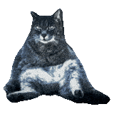 chudcode