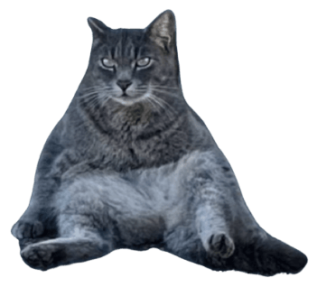 chud, looking unimpressed